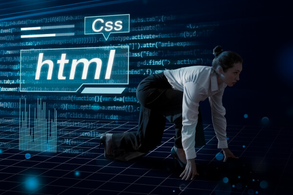 Web Designer